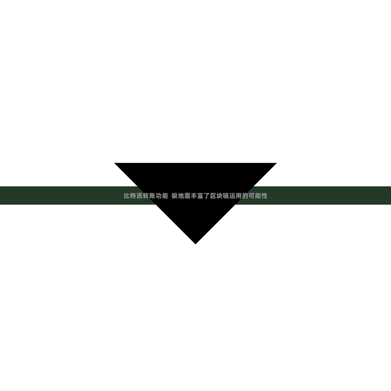 比特派转账功能 极地面丰富了区块链运用的可能性