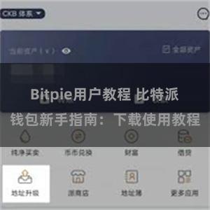 Bitpie用户教程 比特派钱包新手指南：下载使用教程