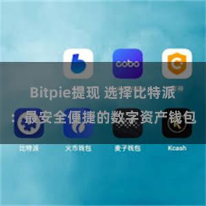 Bitpie提现 选择比特派：最安全便捷的数字资产钱包