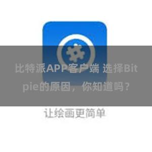 比特派APP客户端 选择Bitpie的原因，你知道吗？