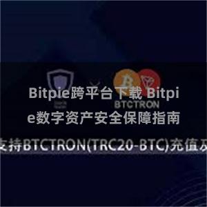 Bitpie跨平台下载 Bitpie数字资产安全保障指南