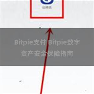 Bitpie支付 Bitpie数字资产安全保障指南