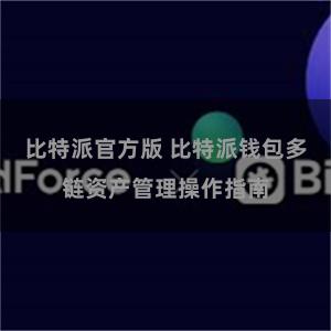 比特派官方版 比特派钱包多链资产管理操作指南