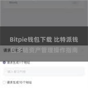 Bitpie钱包下载 比特派钱包多链资产管理操作指南