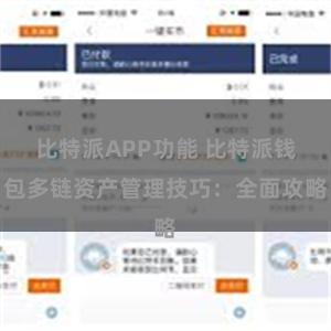 比特派APP功能 比特派钱包多链资产管理技巧：全面攻略