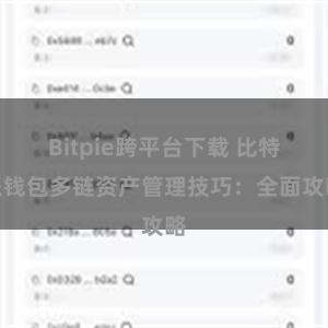 Bitpie跨平台下载 比特派钱包多链资产管理技巧：全面攻略