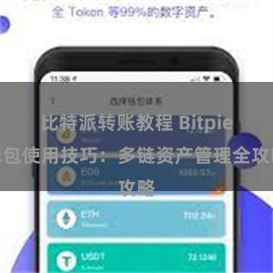 比特派转账教程 Bitpie钱包使用技巧：多链资产管理全攻略