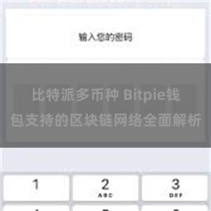 比特派多币种 Bitpie钱包支持的区块链网络全面解析