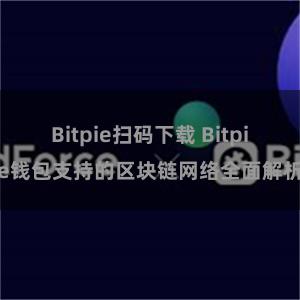 Bitpie扫码下载 Bitpie钱包支持的区块链网络全面解析