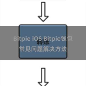 Bitpie iOS Bitpie钱包常见问题解决方法