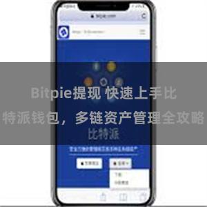 Bitpie提现 快速上手比特派钱包，多链资产管理全攻略