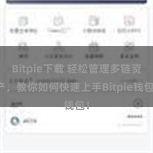 Bitpie下载 轻松管理多链资产，教你如何快速上手Bitpie钱包！