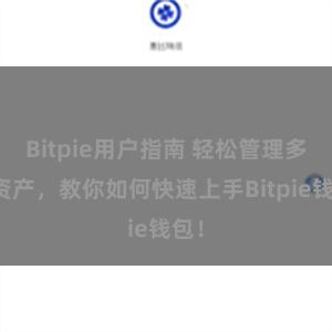 Bitpie用户指南 轻松管理多链资产，教你如何快速上手Bitpie钱包！