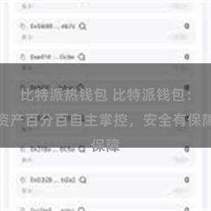 比特派热钱包 比特派钱包：资产百分百自主掌控，安全有保障