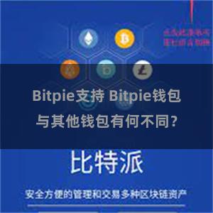 Bitpie支持 Bitpie钱包与其他钱包有何不同？