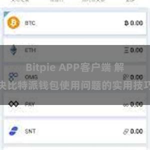 Bitpie APP客户端 解决比特派钱包使用问题的实用技巧