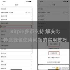 Bitpie多币支持 解决比特派钱包使用问题的实用技巧