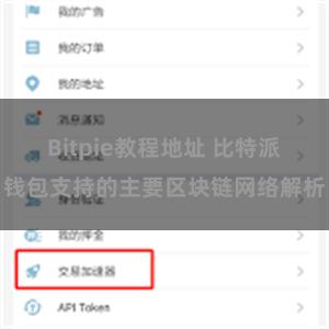 Bitpie教程地址 比特派钱包支持的主要区块链网络解析