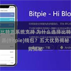 比特派系统支持 为什么选择比特派(Bitpie)钱包？五大优势揭秘