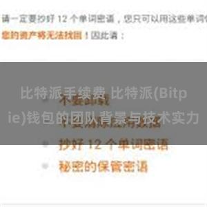 比特派手续费 比特派(Bitpie)钱包的团队背景与技术实力