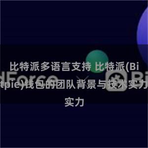 比特派多语言支持 比特派(Bitpie)钱包的团队背景与技术实力