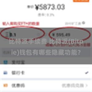 比特派手续费 比特派(Bitpie)钱包有哪些隐藏功能？