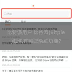 比特派用户 比特派(Bitpie)钱包有哪些隐藏功能？