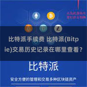 比特派手续费 比特派(Bitpie)交易历史记录在哪里查看？