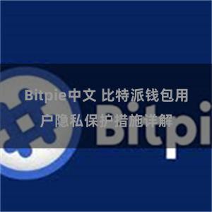 Bitpie中文 比特派钱包用户隐私保护措施详解