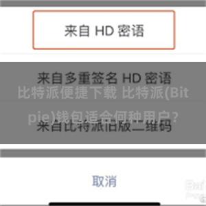 比特派便捷下载 比特派(Bitpie)钱包适合何种用户？