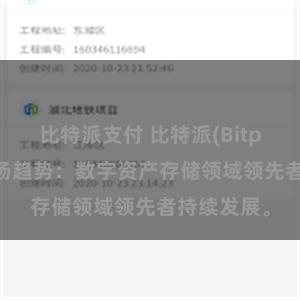 比特派支付 比特派(Bitpie)钱包市场趋势：数字资产存储领域领先者持续发展。