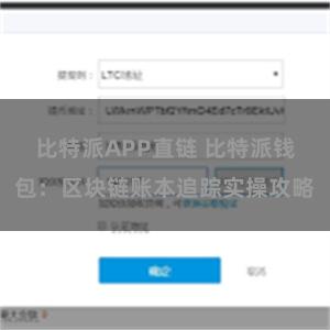 比特派APP直链 比特派钱包：区块链账本追踪实操攻略