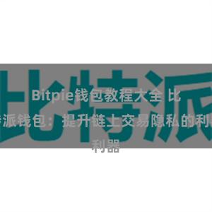 Bitpie钱包教程大全 比特派钱包：提升链上交易隐私的利器