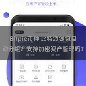 Bitpie币种 比特派钱包自动分组？支持加密资产管理吗？