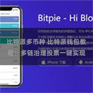 比特派多币种 比特派钱包教程：多链治理投票一键实现