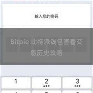 Bitpie 比特派钱包查看交易历史攻略