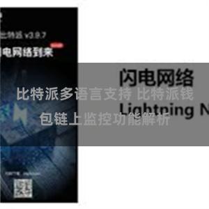 比特派多语言支持 比特派钱包链上监控功能解析