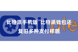 比特派手机版  比特派钱包还复旧多种支付样貌