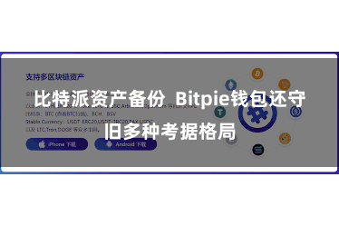 比特派资产备份  Bitpie钱包还守旧多种考据格局