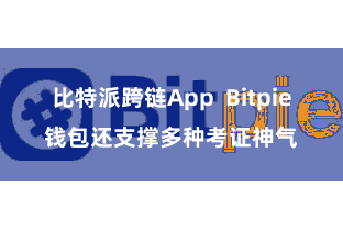 比特派跨链App  Bitpie钱包还支撑多种考证神气