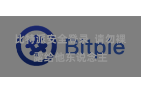 比特派安全登录  请勿裸露给他东说念主