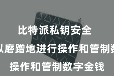 比特派私钥安全  用户可以磨蹭地进行操作和管制数字金钱