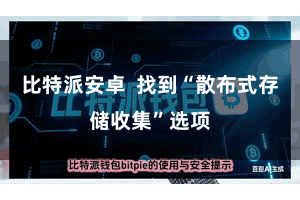 比特派安卓  找到“散布式存储收集”选项