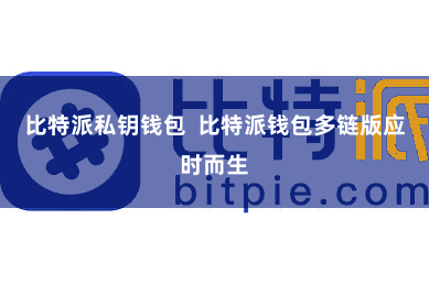 比特派私钥钱包  比特派钱包多链版应时而生